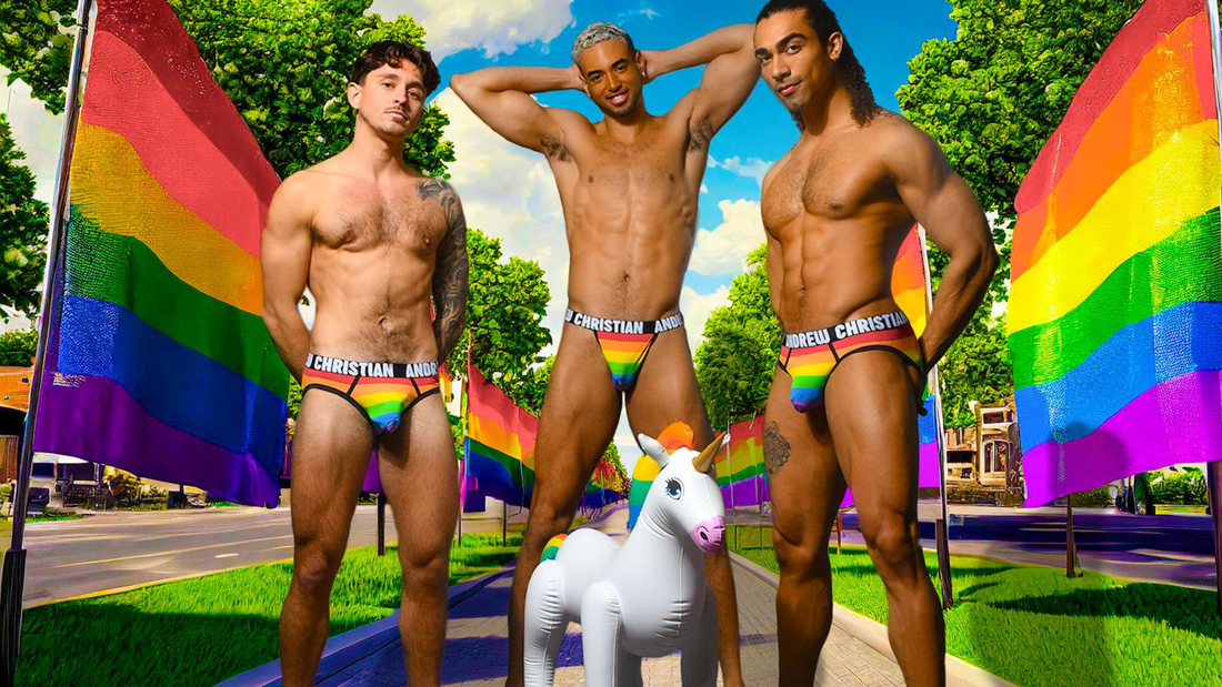 Mitä gay-alusvaatteilla tarkoitetaan? Tyylit, merkit ja erot